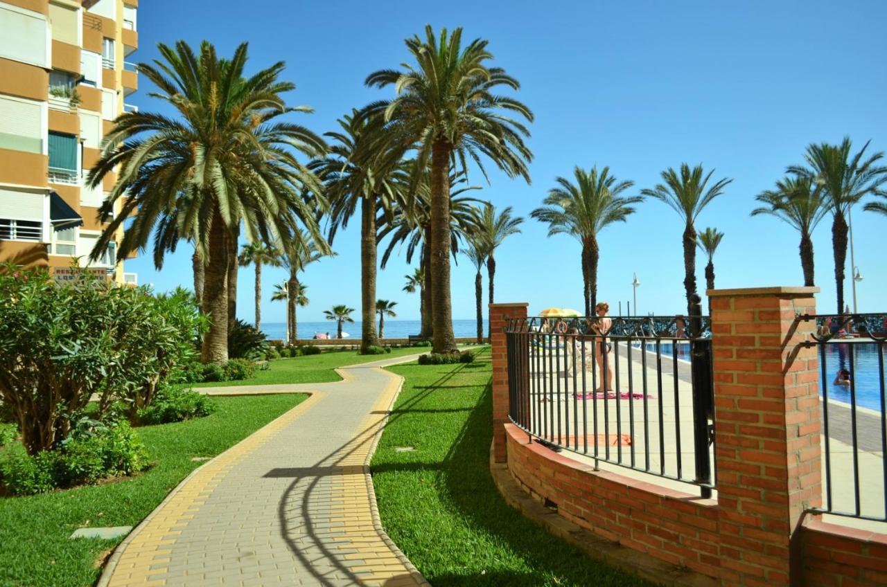 Maravilloso Estudio En Urbanizacion Centro Internacional En A 50 Metros De La Playa Apartment *