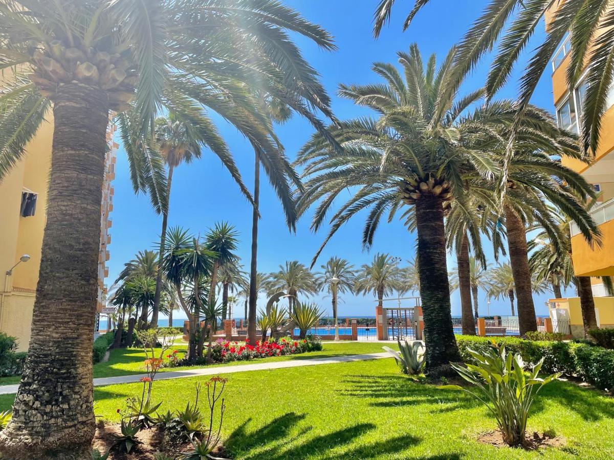 Maravilloso Estudio En Urbanizacion Centro Internacional En A 50 Metros De La Playa *